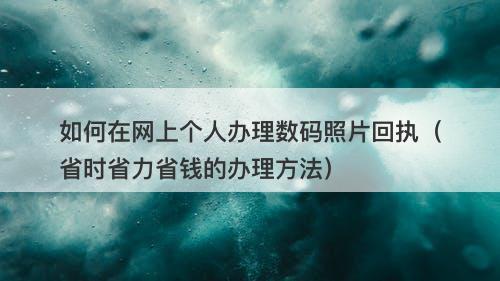 如何在网上个人办理数码照片回执（省时省力省钱的办理方法）