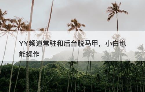 YY频道常驻和后台脱马甲，小白也能操作