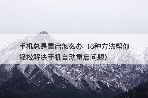 手机总是重启怎么办（5种方法帮你轻松解决手机自动重启问题）