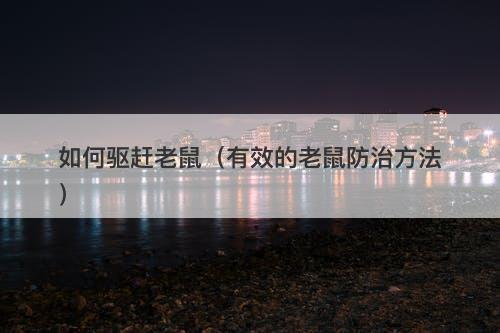 如何驱赶老鼠（有效的老鼠防治方法）