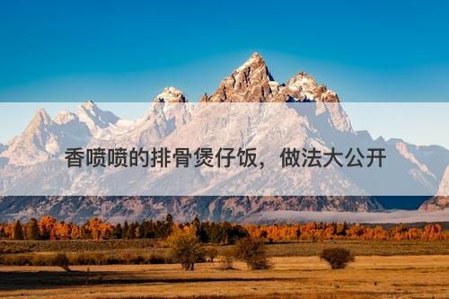 香喷喷的排骨煲仔饭，做法大公开