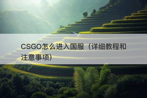 CSGO怎么进入国服（详细教程和注意事项）