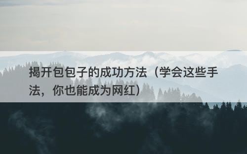 揭开包包子的成功方法（学会这些手法，你也能成为网红）
