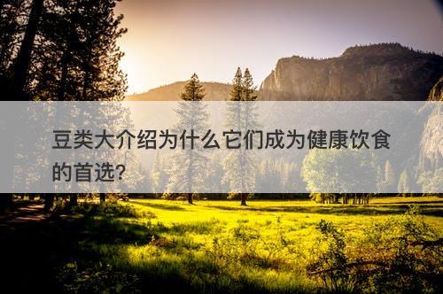 豆类大介绍为什么它们成为健康饮食的首选？