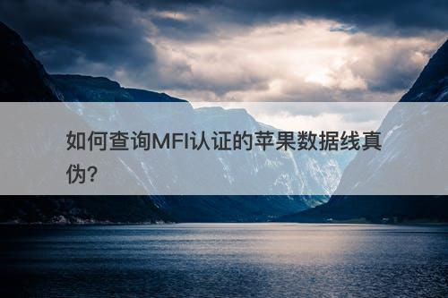 如何查询MFI认证的苹果数据线真伪？