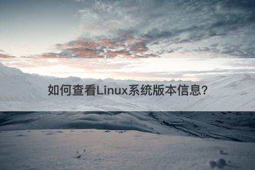 如何查看Linux系统版本信息？