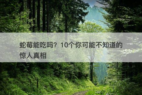 蛇莓能吃吗？10个你可能不知道的惊人真相