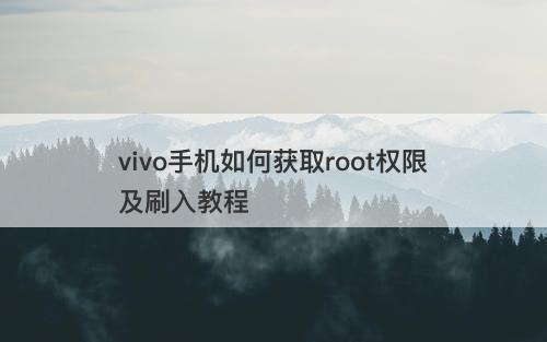 vivo手机如何获取root权限及刷入教程