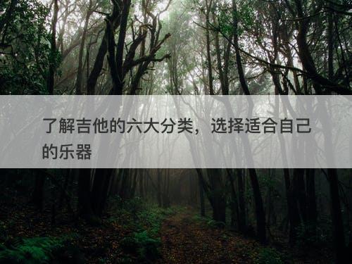 了解吉他的六大分类，选择适合自己的乐器-图1