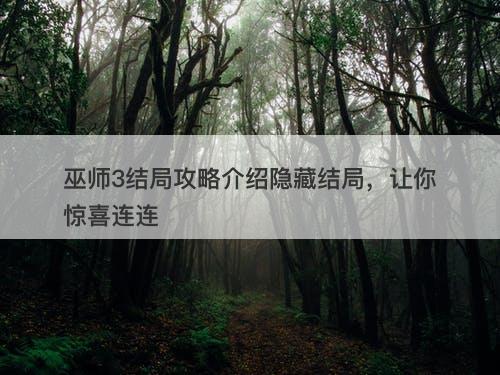 巫师3结局攻略介绍隐藏结局，让你惊喜连连