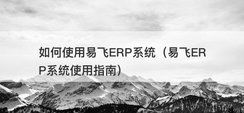 如何使用易飞ERP系统（易飞ERP系统使用指南）-图1