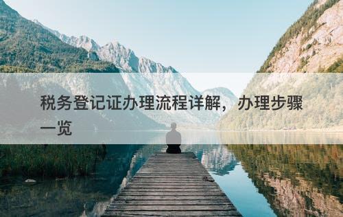 税务登记证办理流程详解，办理步骤一览-图1