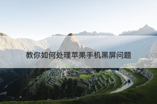 教你如何处理苹果手机黑屏问题-图1