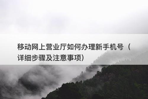 移动网上营业厅如何办理新手机号（详细步骤及注意事项）