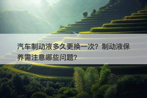 汽车制动液多久更换一次？制动液保养需注意哪些问题？
