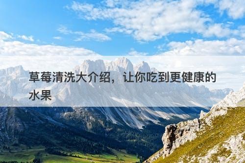 草莓清洗大介绍，让你吃到更健康的水果