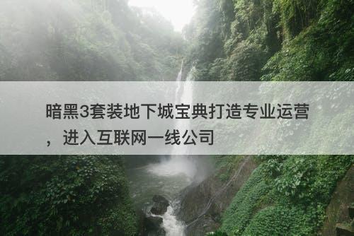 暗黑3套装地下城宝典打造专业运营，进入互联网一线公司
