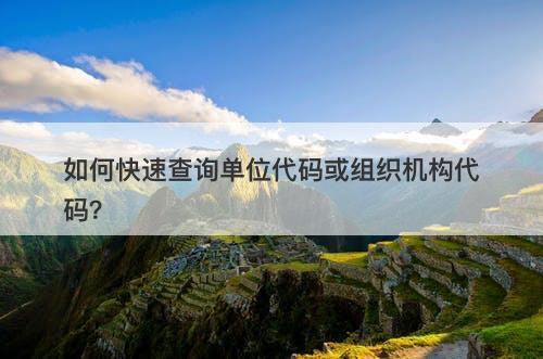 如何快速查询单位代码或组织机构代码？