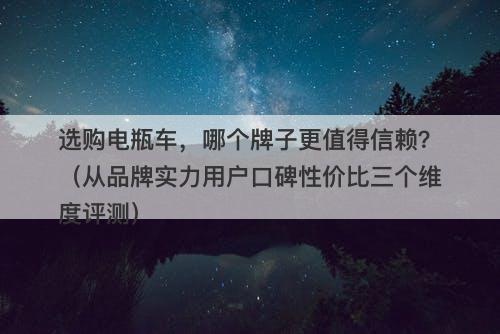 选购电瓶车，哪个牌子更值得信赖？（从品牌实力用户口碑性价比三个维度评测）-图1