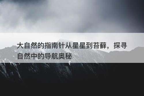 大自然的指南针从星星到苔藓，探寻自然中的导航奥秘-图1