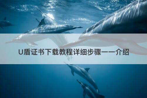 U盾证书下载教程详细步骤一一介绍