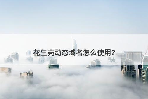 花生壳动态域名怎么使用？