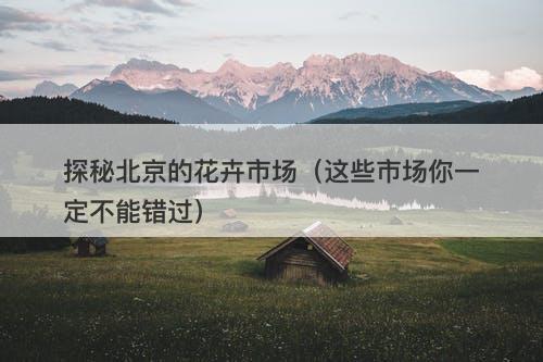 探秘北京的花卉市场（这些市场你一定不能错过）