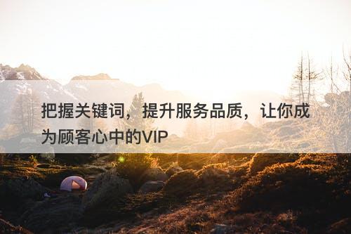 把握关键词，提升服务品质，让你成为顾客心中的VIP