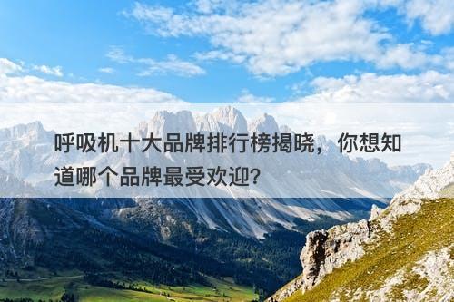 呼吸机十大品牌排行榜揭晓，你想知道哪个品牌最受欢迎？