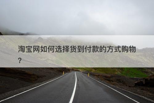 淘宝网如何选择货到付款的方式购物？