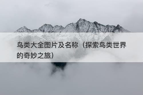 鸟类大全图片及名称（探索鸟类世界的奇妙之旅）