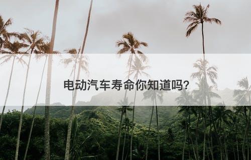 电动汽车寿命你知道吗？