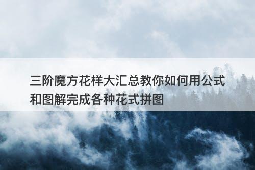 三阶魔方花样大汇总教你如何用公式和图解完成各种花式拼图-图1
