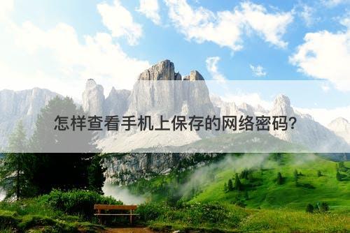怎样查看手机上保存的网络密码？