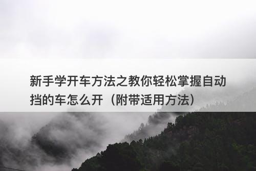 新手学开车方法之教你轻松掌握自动挡的车怎么开（附带适用方法）