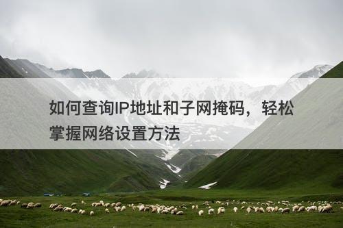 如何查询IP地址和子网掩码，轻松掌握网络设置方法