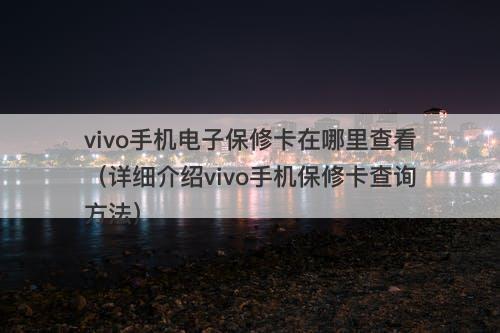 vivo手机电子保修卡在哪里查看（详细介绍vivo手机保修卡查询方法）
