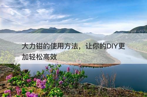 大力钳的使用方法，让你的DIY更加轻松高效