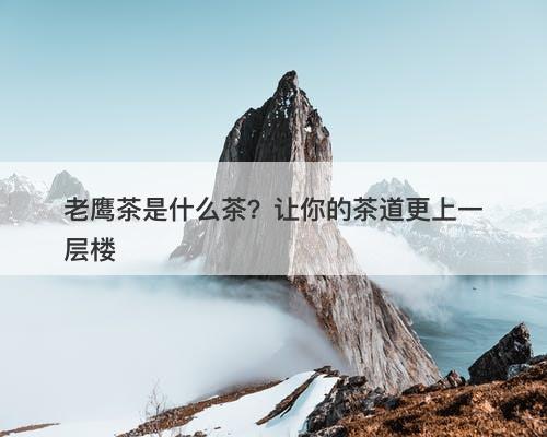 老鹰茶是什么茶？让你的茶道更上一层楼