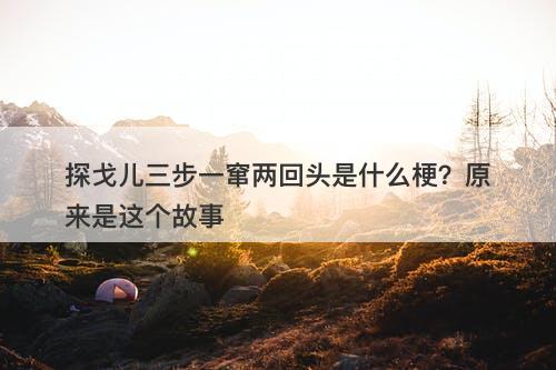 探戈儿三步一窜两回头是什么梗？原来是这个故事