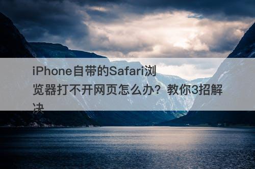 iPhone自带的Safari浏览器打不开网页怎么办？教你3招解决