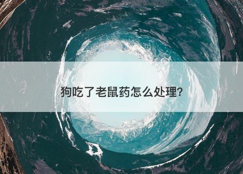 狗吃了老鼠药怎么处理？