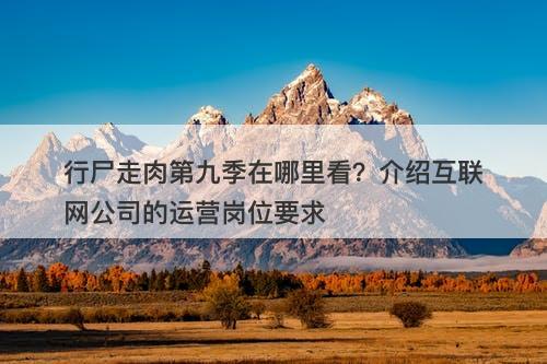 行尸走肉第九季在哪里看？介绍互联网公司的运营岗位要求
