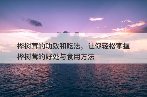 桦树茸的功效和吃法，让你轻松掌握桦树茸的好处与食用方法