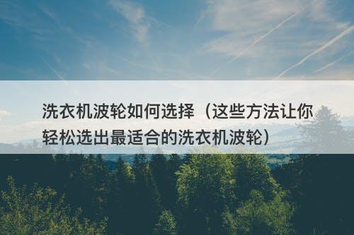 洗衣机波轮如何选择（这些方法让你轻松选出最适合的洗衣机波轮）