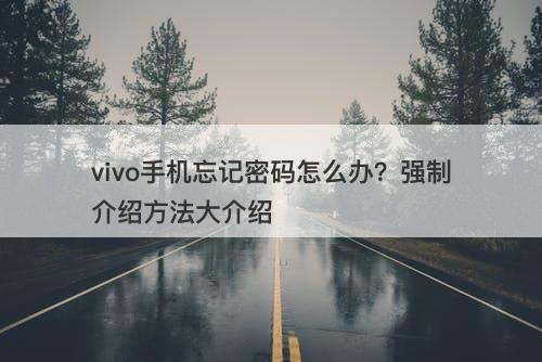 vivo手机忘记密码怎么办？强制介绍方法大介绍