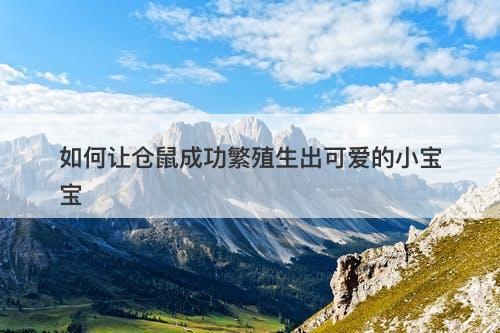 如何让仓鼠成功繁殖生出可爱的小宝宝