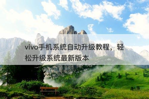 vivo手机系统自动升级教程，轻松升级系统最新版本