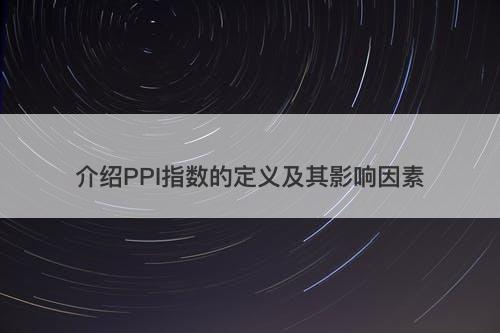介绍PPI指数的定义及其影响因素