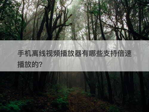手机离线视频播放器有哪些支持倍速播放的？